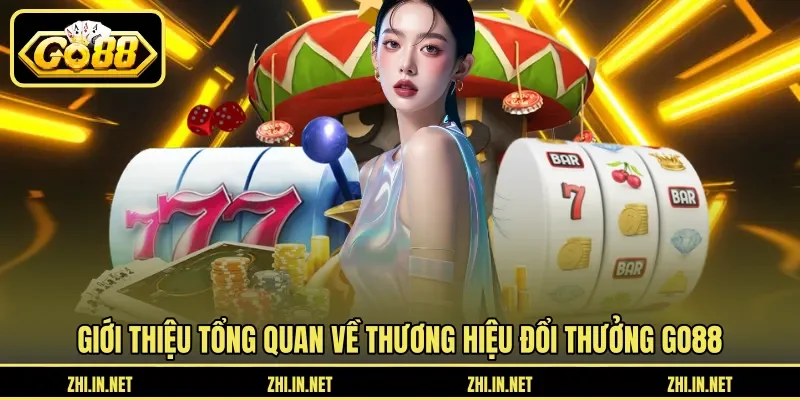 Tổng quan về thương hiệu GO88